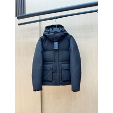 Louis Vuitton Down Jackets